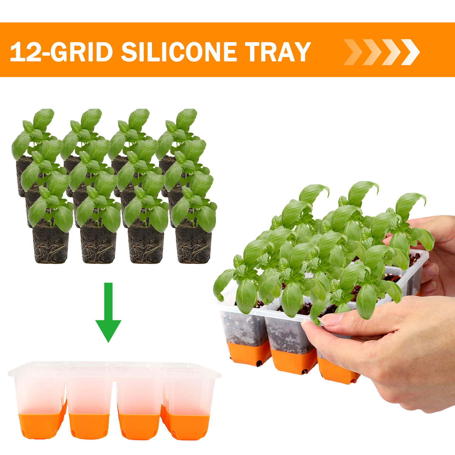 Seed Starter Tray - 5/10 Orange Seed Starter Tray Box