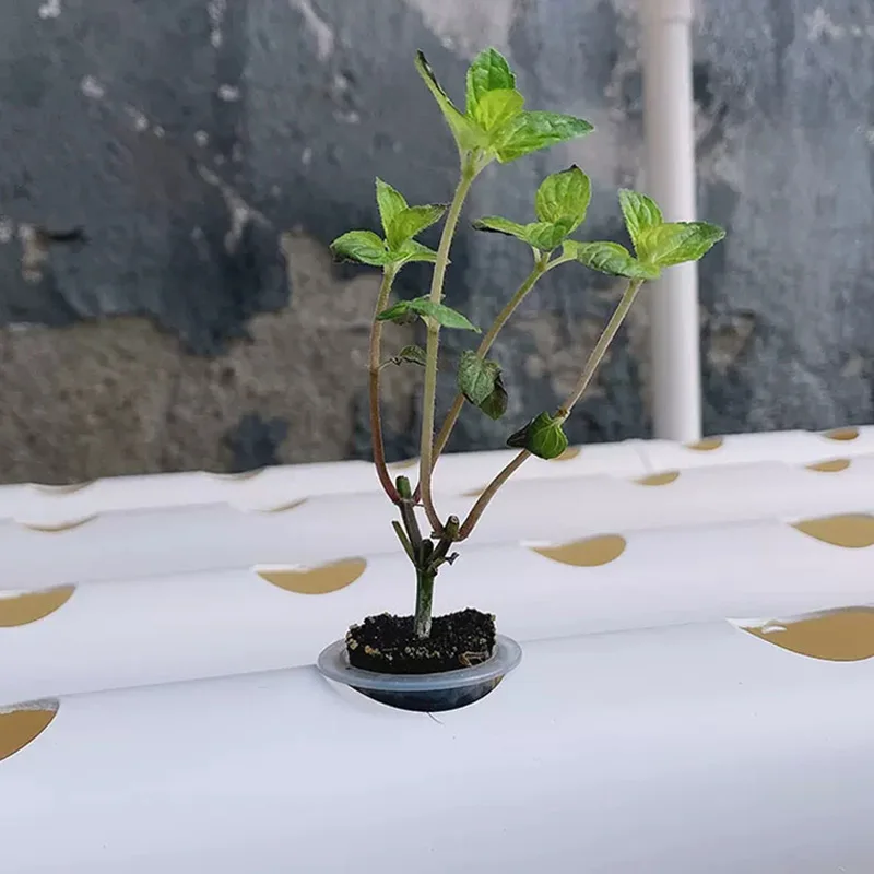 Hydroponic Kit - Soilless Growing System Kit, PVC Pipe