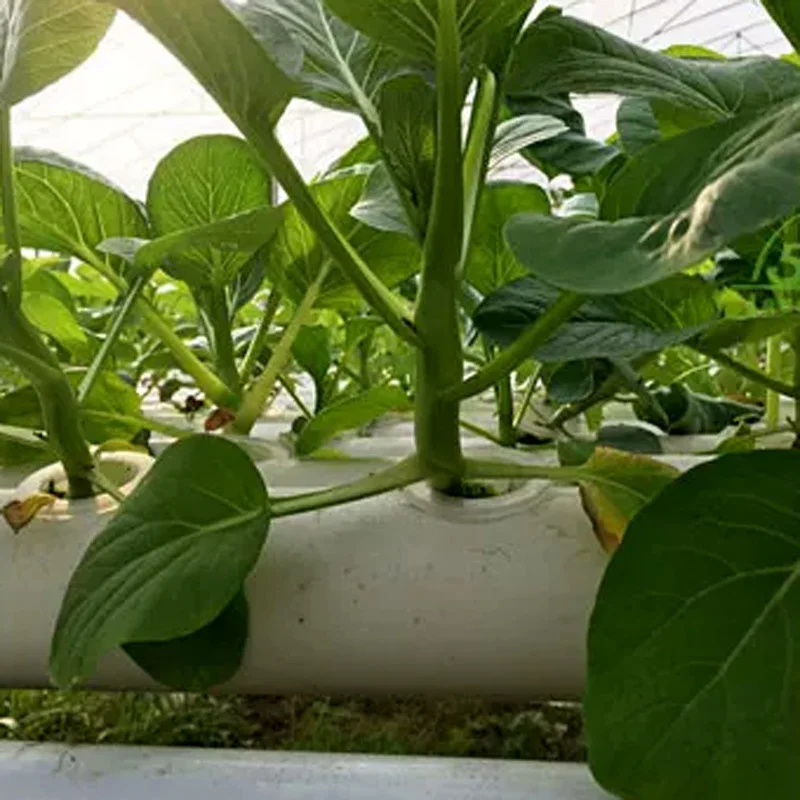 Hydroponic Kit - Soilless Growing System Kit, PVC Pipe