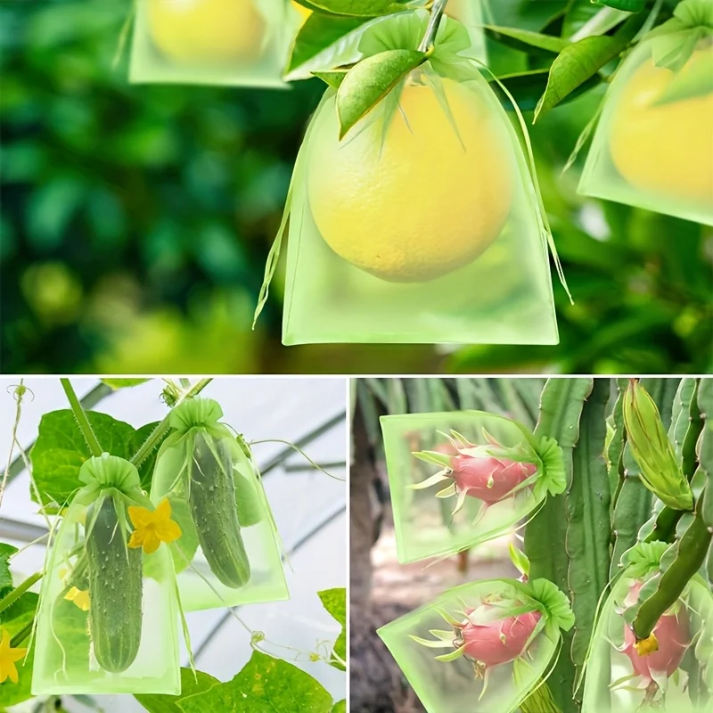 100Pcs Green Protective Bag wi - огляд і ціна Grow Bag