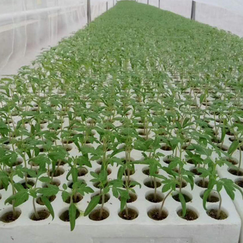 40Pcs Grow Soilless Culture Hy - огляд і ціна Hydroponic Kit