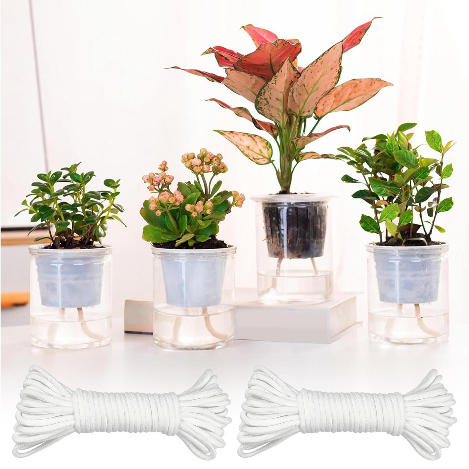 Plant Wicks For Self Watering  - огляд і ціна Self Watering Planter