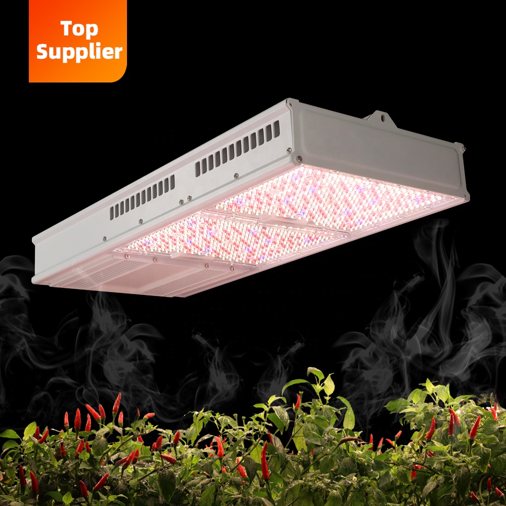 Cost-Effective 600W 800W Topli - огляд і ціна Grow Light Led