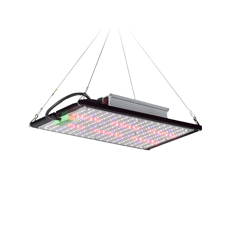 LED Quantum‑Board Grow Light F - огляд і ціна Grow Light Led