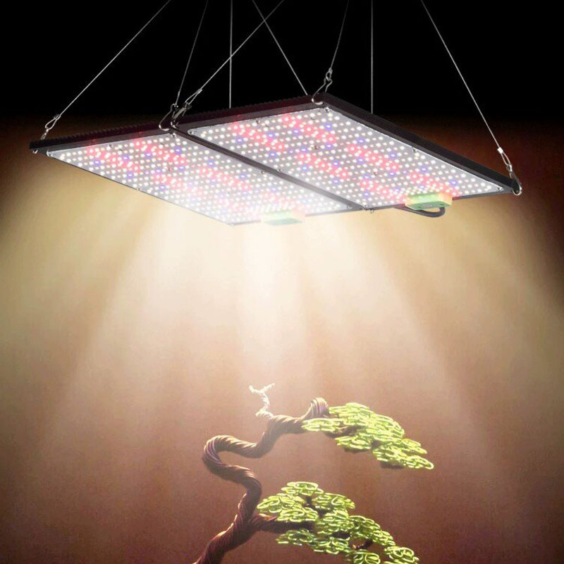 LED Quantum‑Board Grow Light F - огляд і ціна Grow Light Led