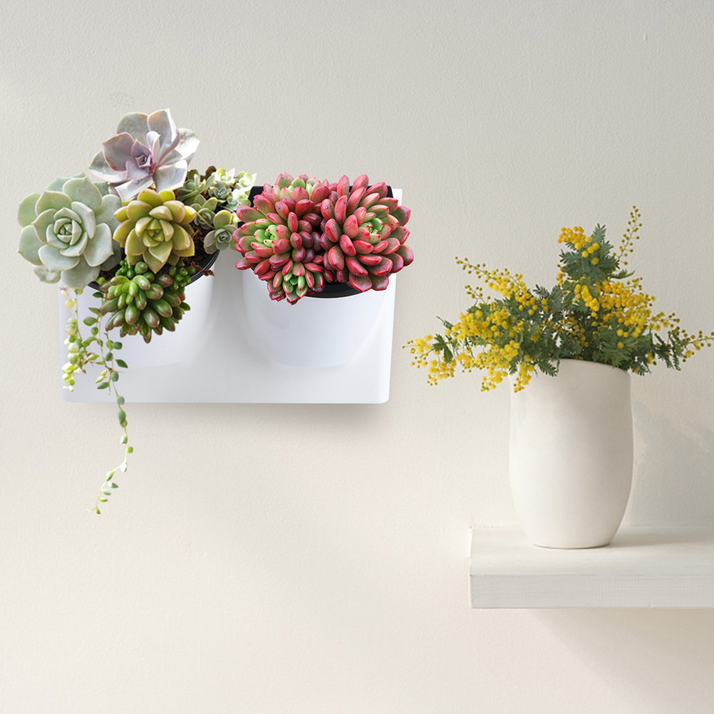 Self Watering Flower Pot Plast - огляд і ціна Self Watering Planter