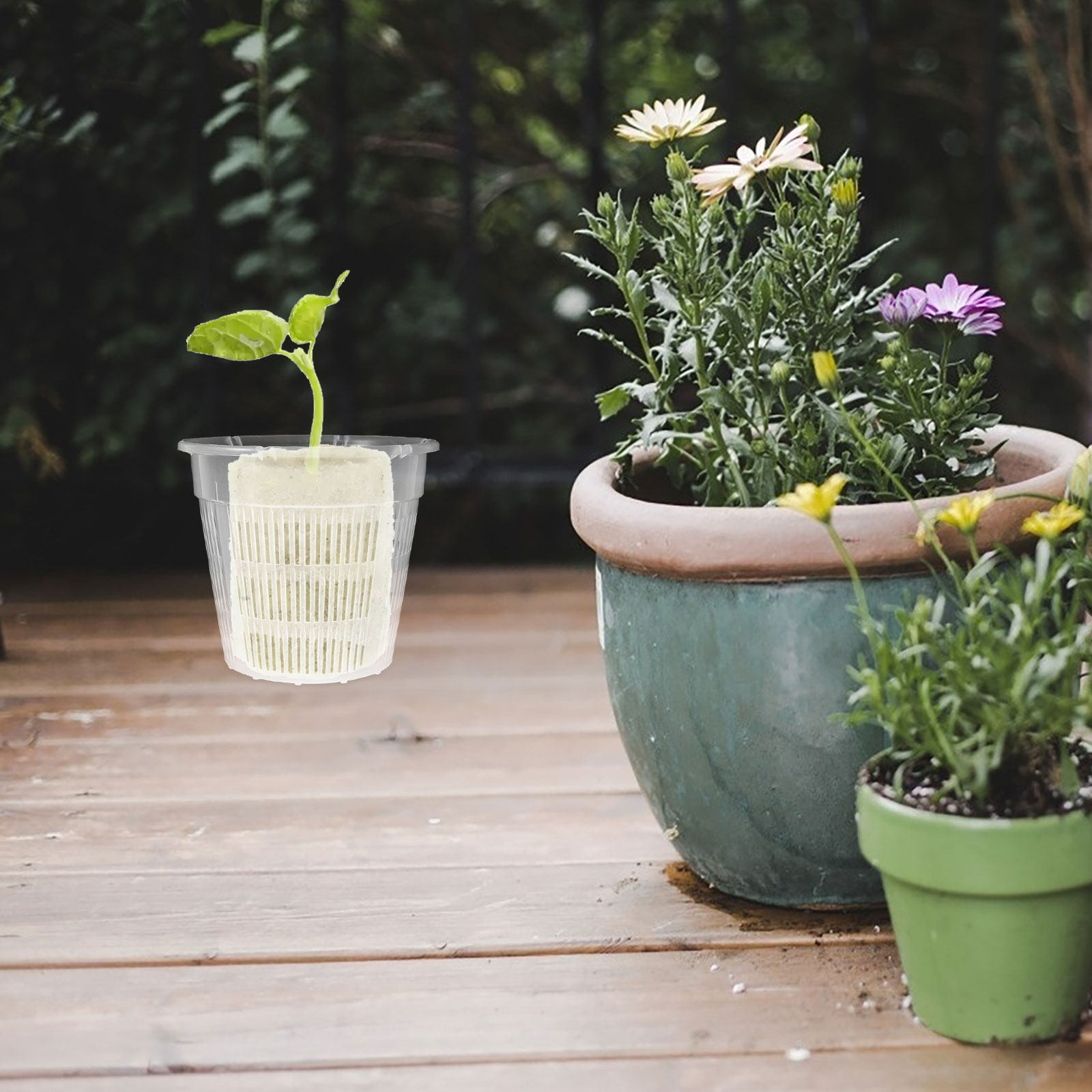4Pcs Hydroponic Plant Basket R - огляд і ціна Plant Pot