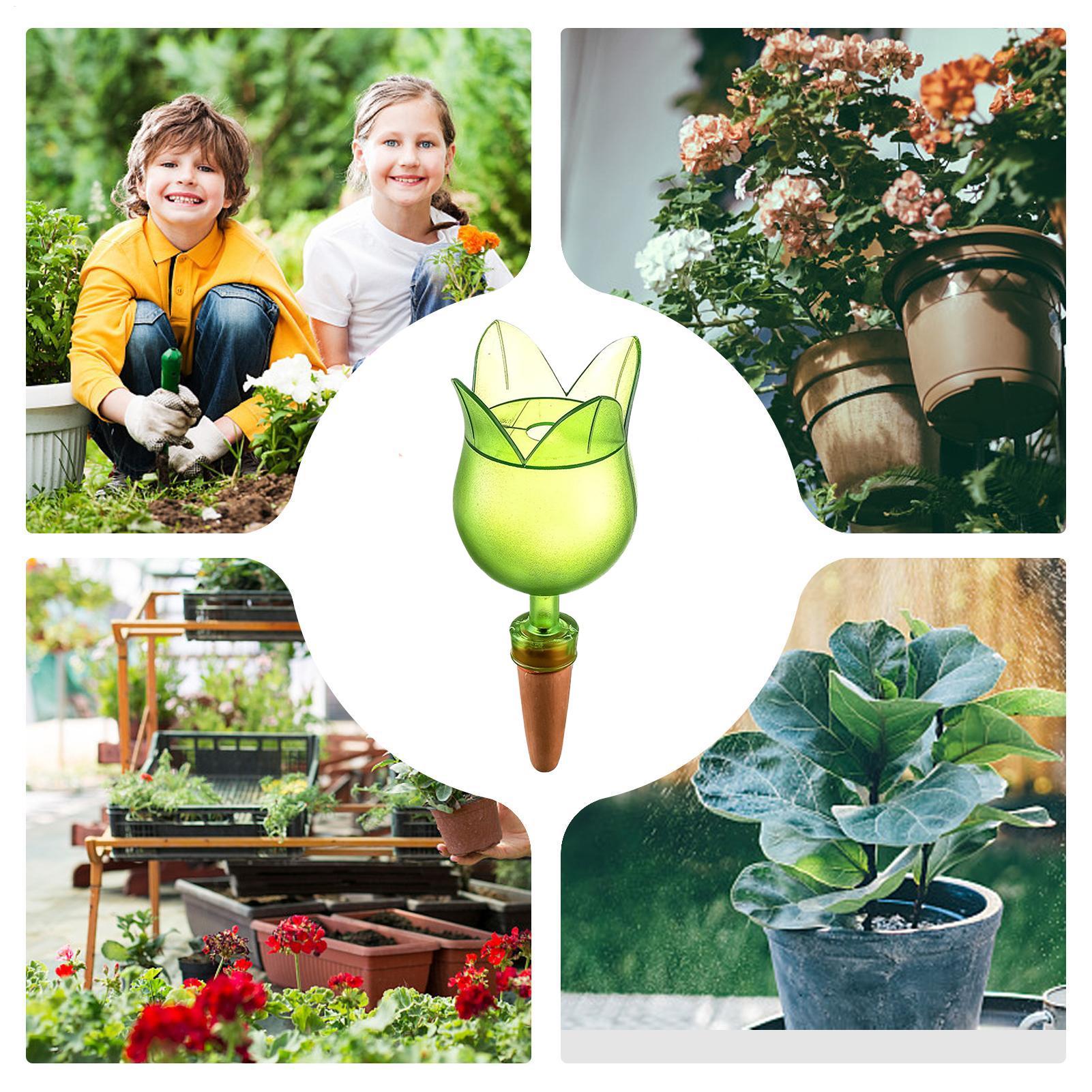 Plant Self Watering Devices Pl - огляд і ціна Self Watering Planter