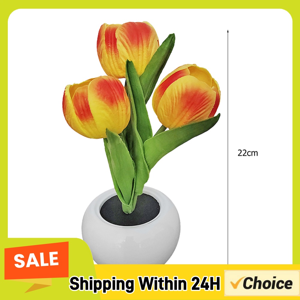 9x22cm Potted Plant Table Lamp - огляд і ціна Plant Pot