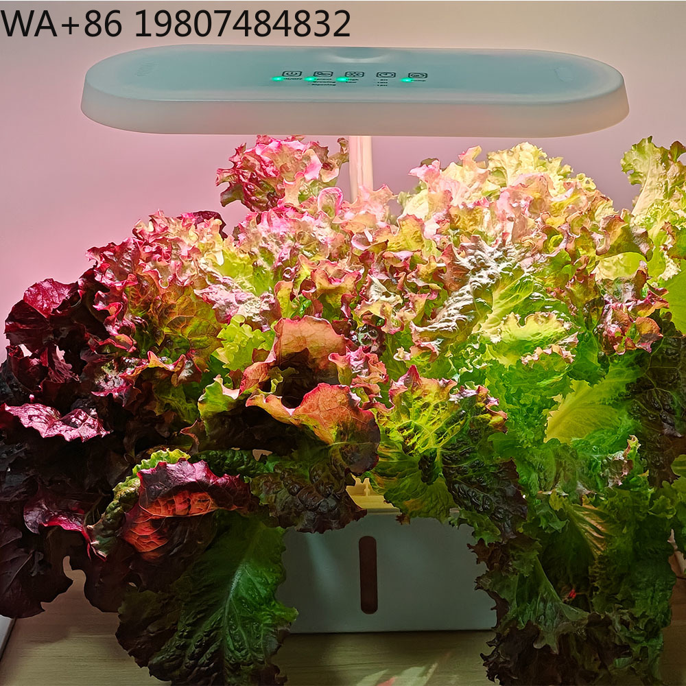 8 Hole Silent Circulation Soil - огляд і ціна Hydroponic Kit
