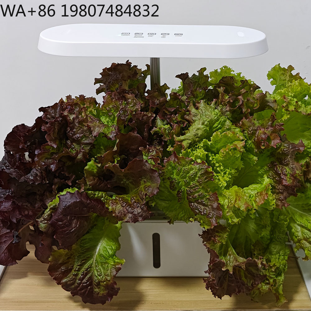 8 Hole Silent Circulation Soil - огляд і ціна Hydroponic Kit