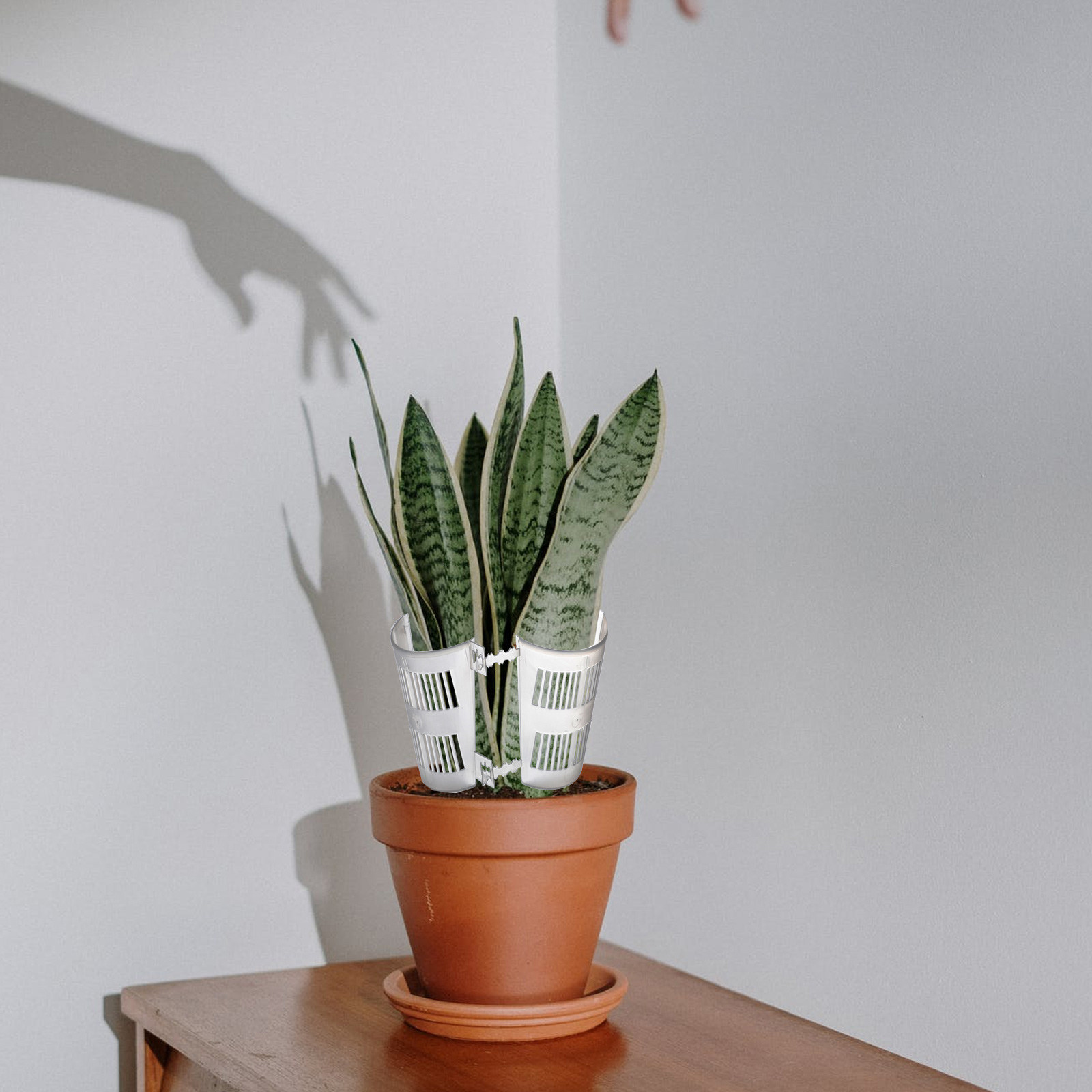 10Pcs Root Control Plant Pots  - огляд і ціна Plant Pot