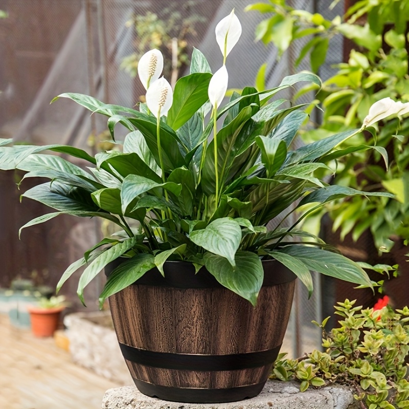 Durable Plastic Round Elegant  - огляд і ціна Self Watering Planter