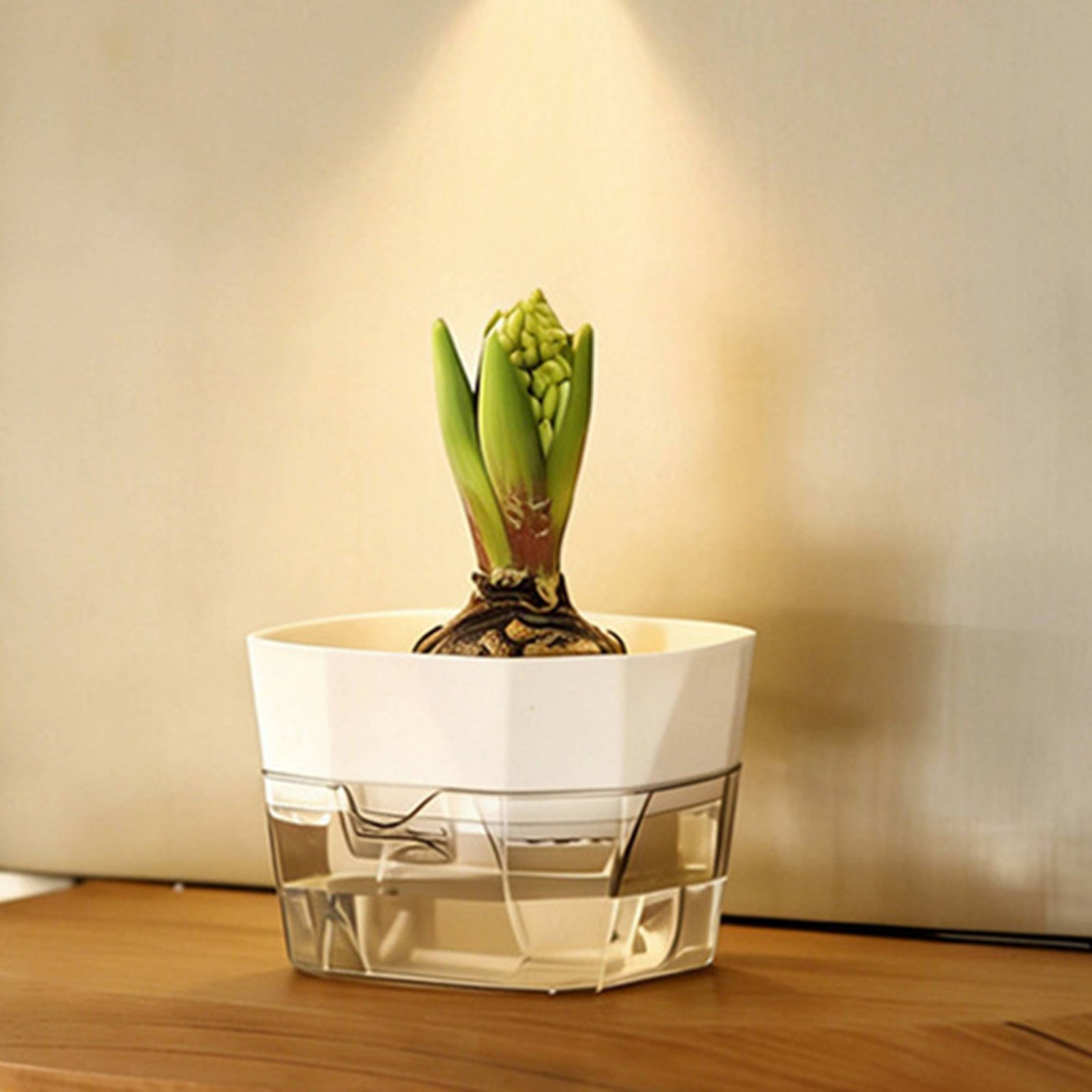 Hydroponic Bulb Vase 2-Tier De - огляд і ціна Plant Pot