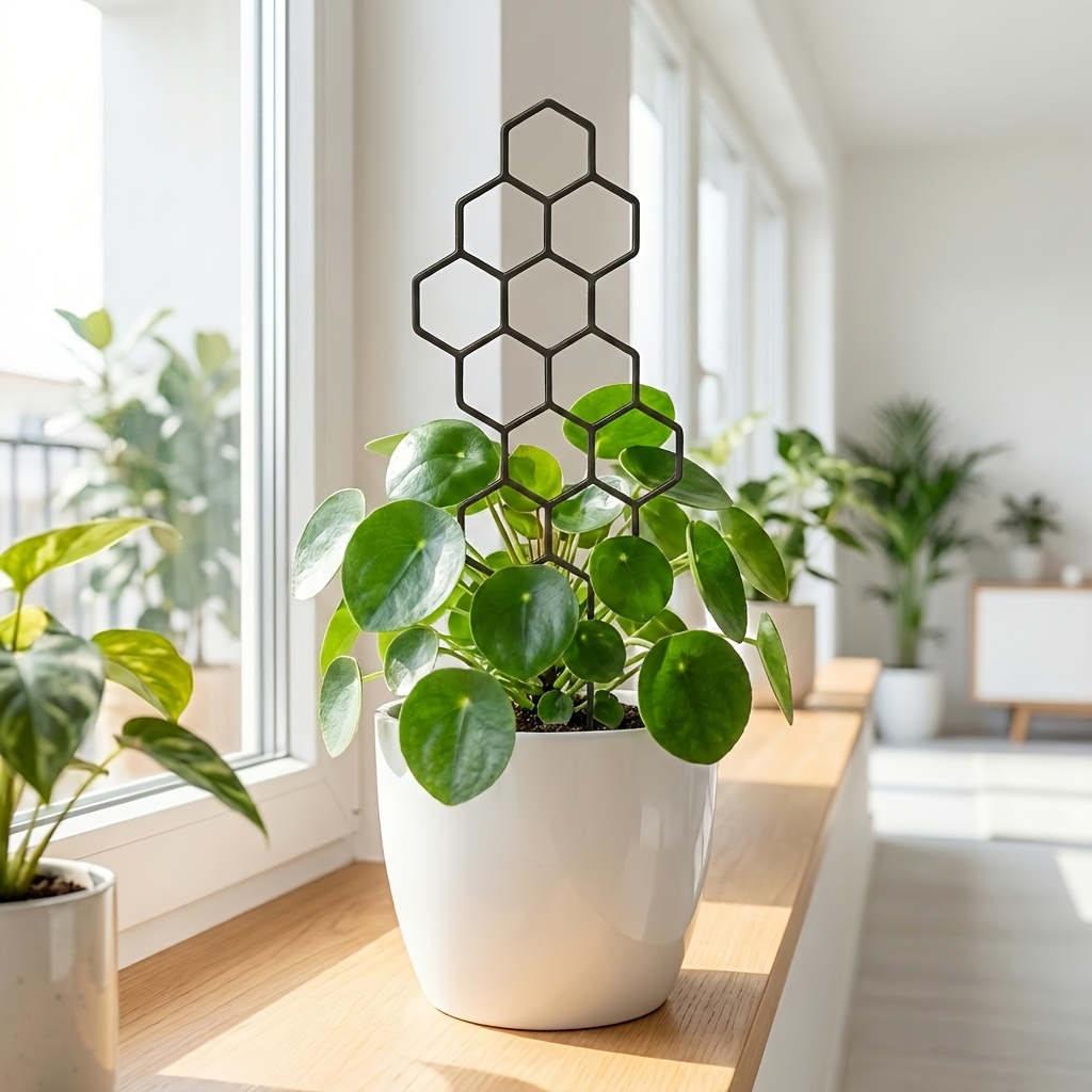 1/2Pack Indoor Plant Trellis G - огляд і ціна Indoor Herb Garden