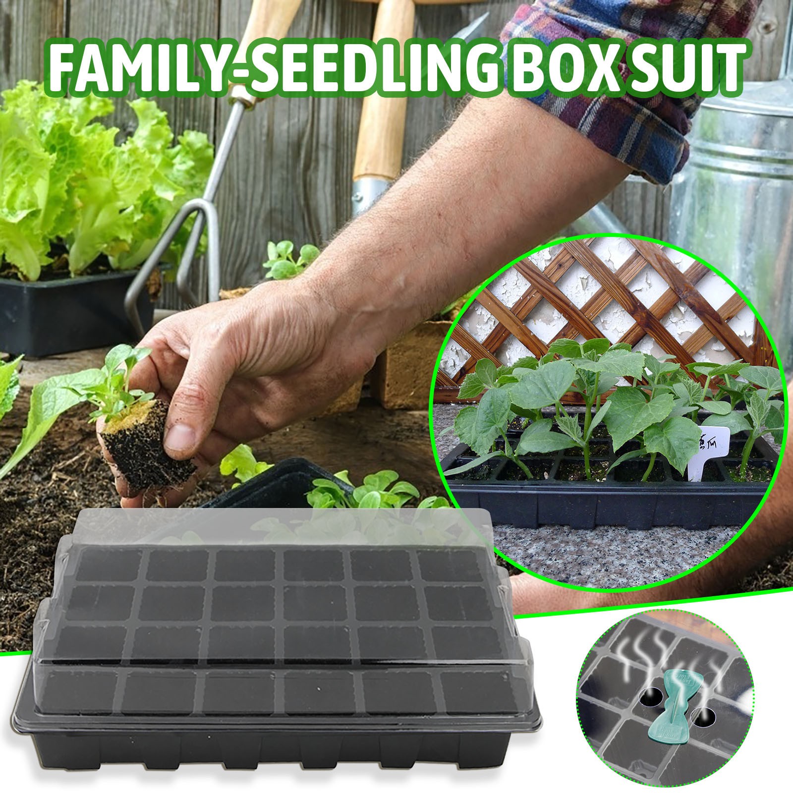 24 Cells Seedling Tray Germina - огляд і ціна Seed Starter Tray