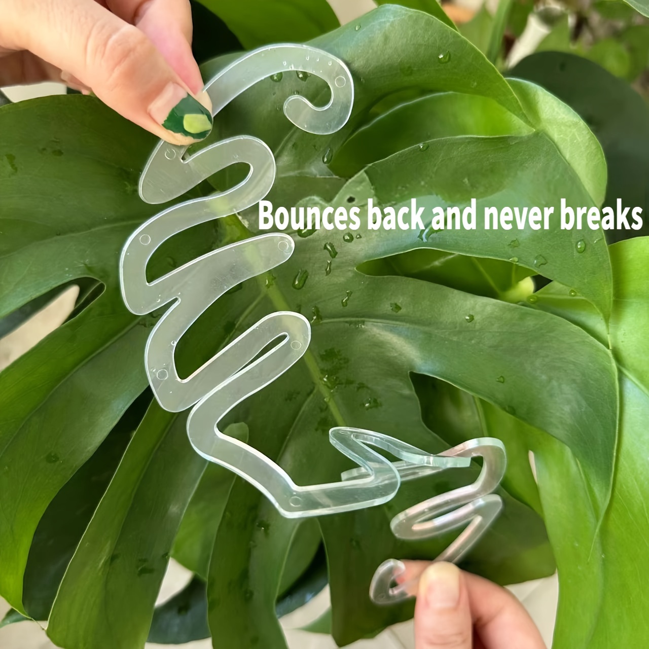 Flexible Plastic Monstera Plan - огляд і ціна Vertical Planter
