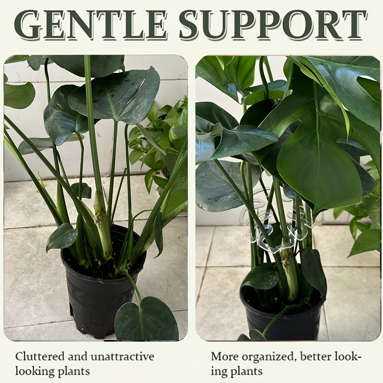Flexible Plastic Monstera Plan - огляд і ціна Vertical Planter
