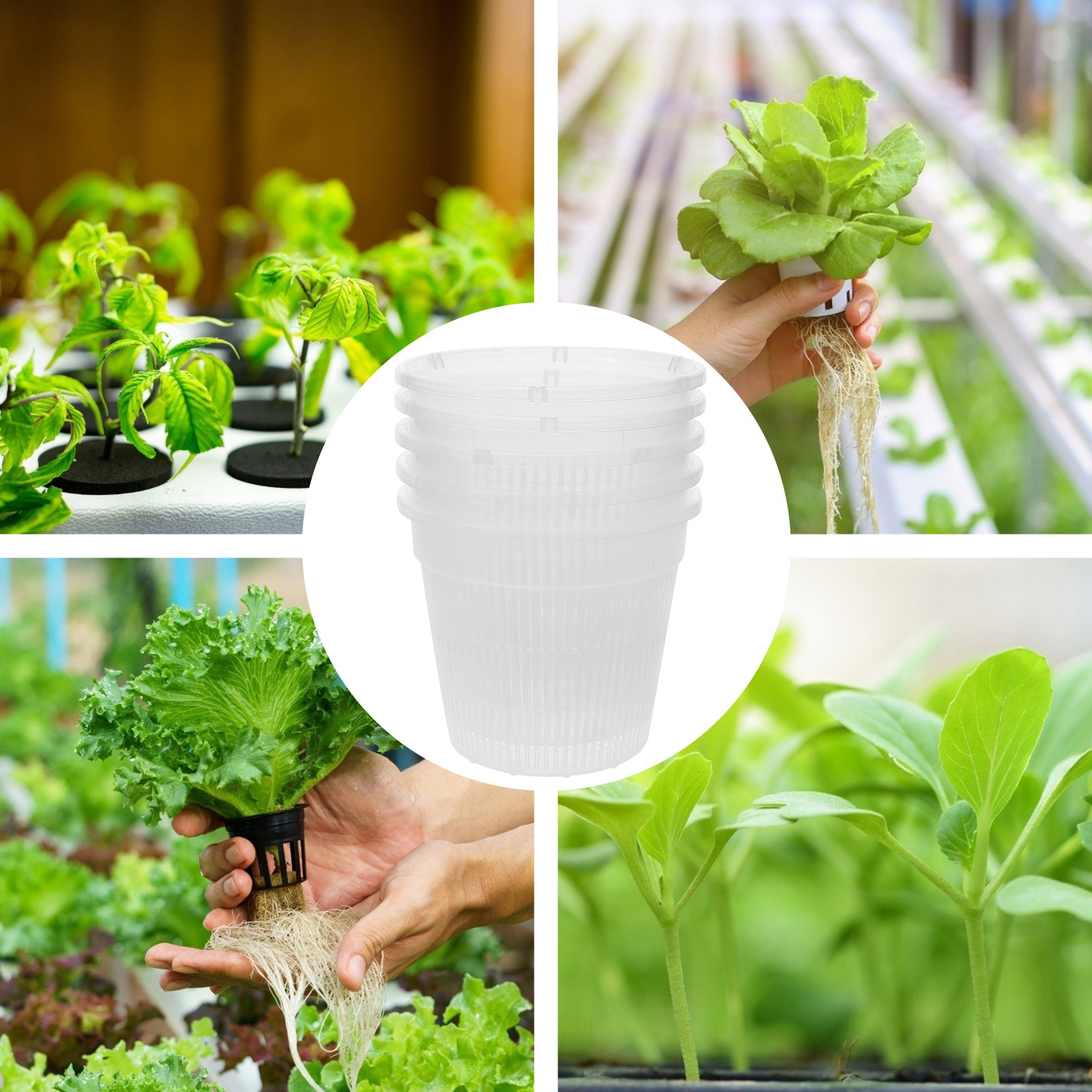 5Pcs Hydroponic Planting Net P - огляд і ціна Plant Pot