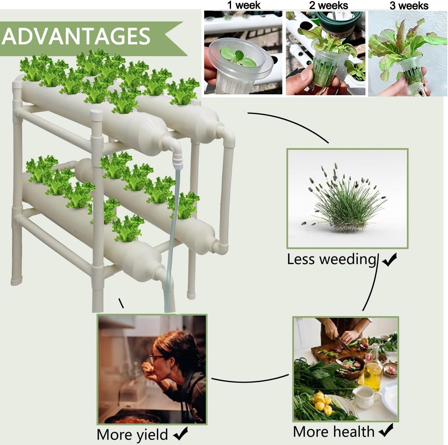 Hydroponic Growing System 20 H - огляд і ціна Hydroponic Kit