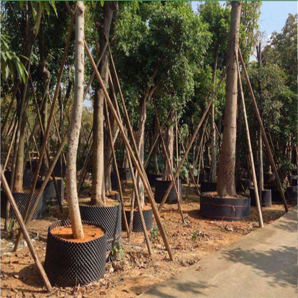 Grow Container Garden Tree Bon - огляд і ціна Plant Pot