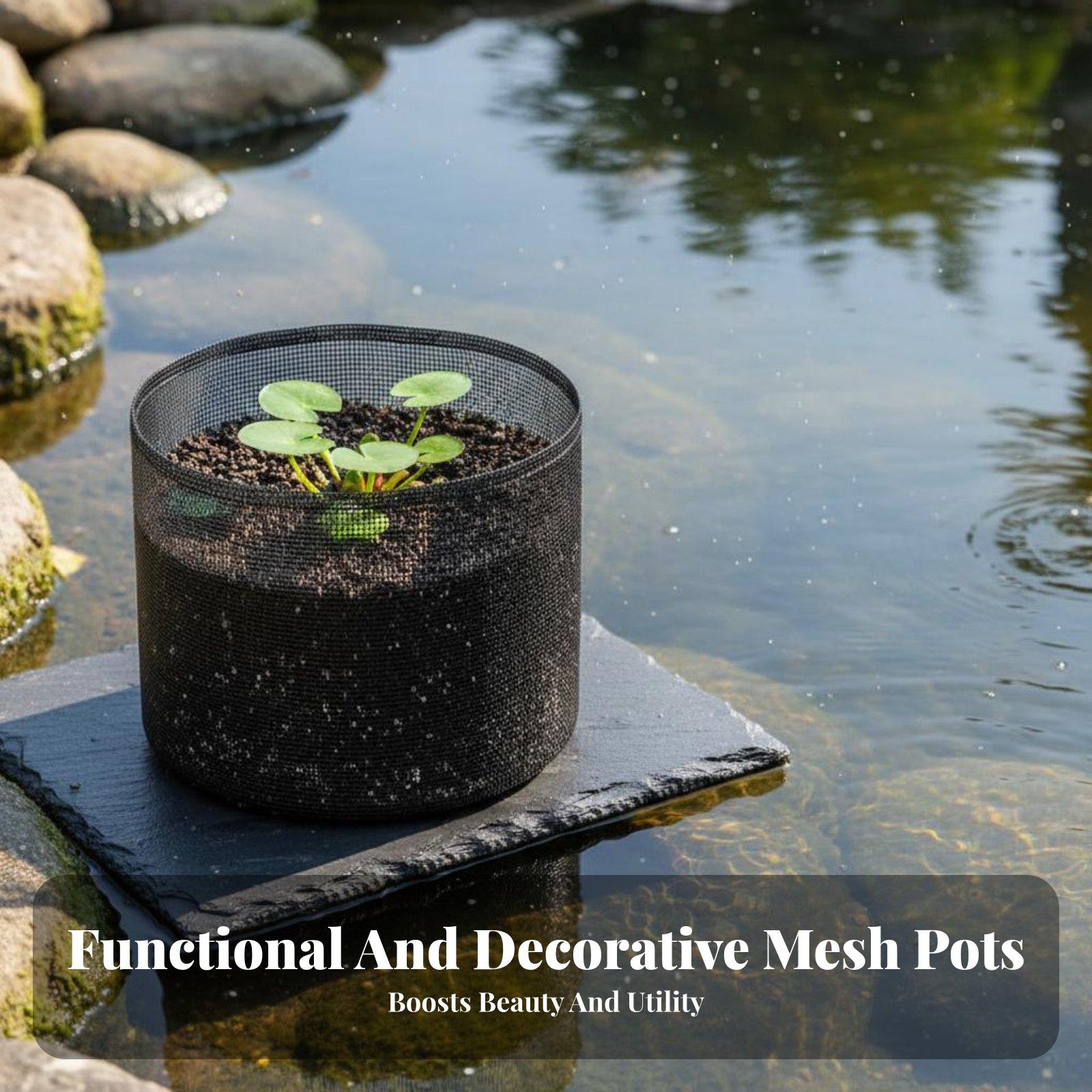4 Piece Water Lily Planting Po - огляд і ціна Plant Pot