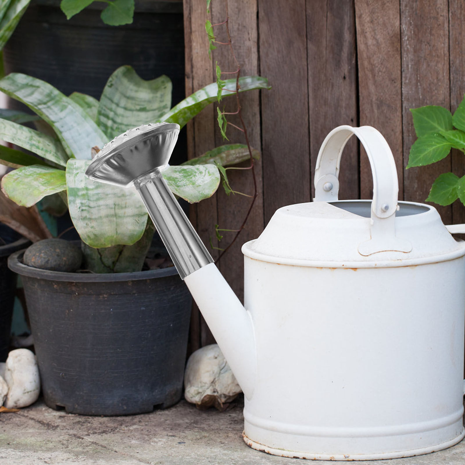 Stainless Steel Water Can Spra - огляд і ціна Watering Can