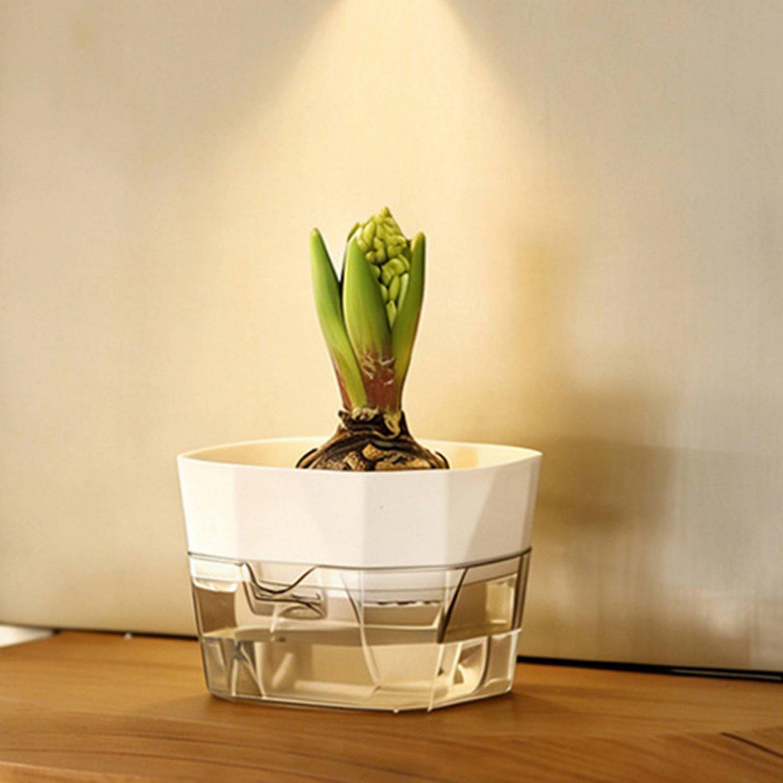 Hydroponic Vase Two Layer Self - огляд і ціна Plant Pot