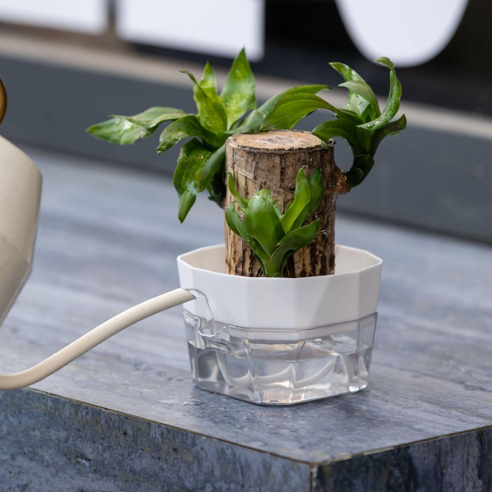 Hydroponic Vase Two Layer Self - огляд і ціна Plant Pot