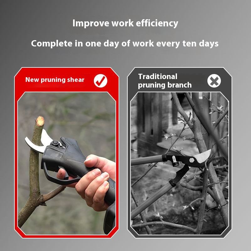 Cordless Electric Garden Pruni - огляд і ціна Pruning Shears