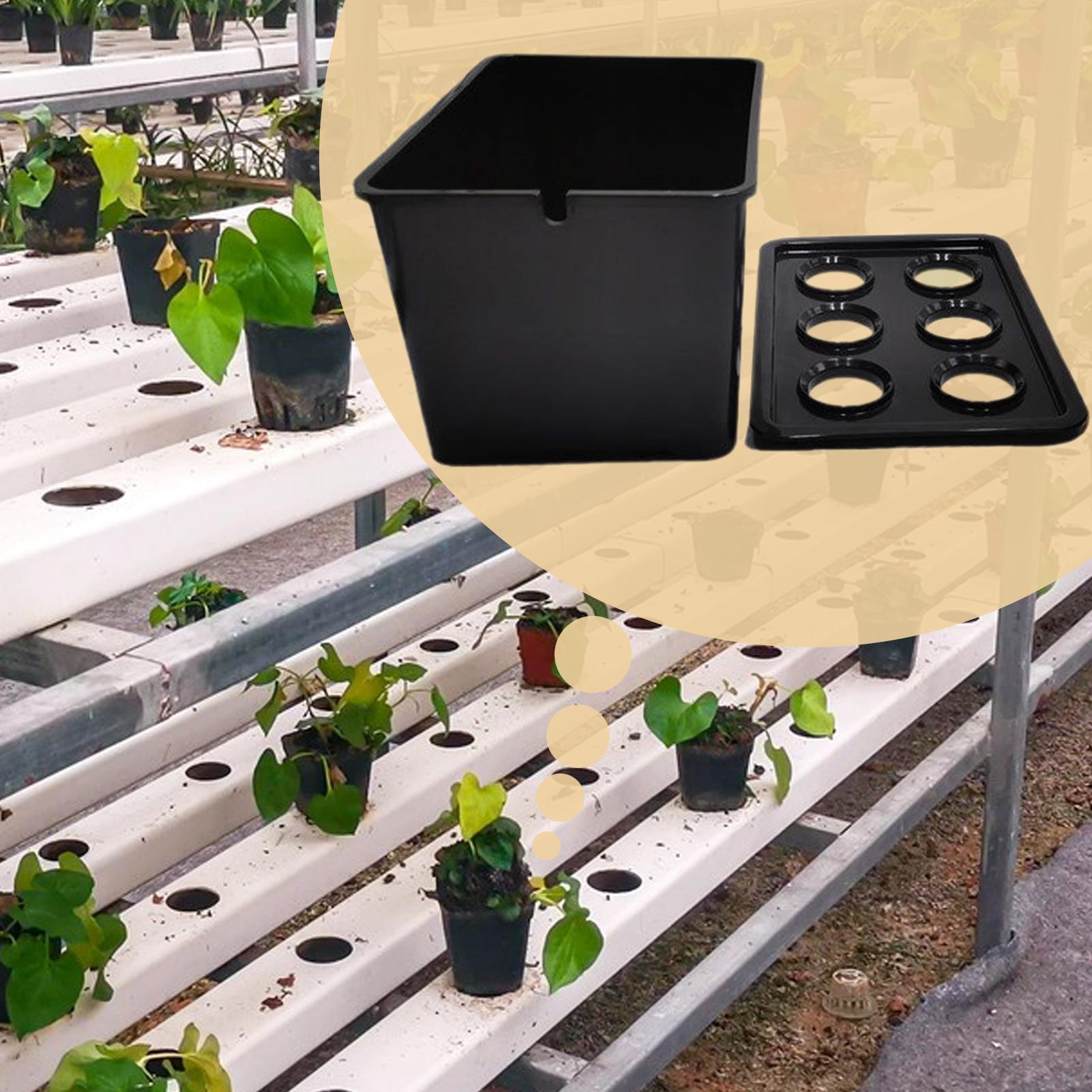 Hydroponic Planting Kit Beginn - огляд і ціна Hydroponic Kit