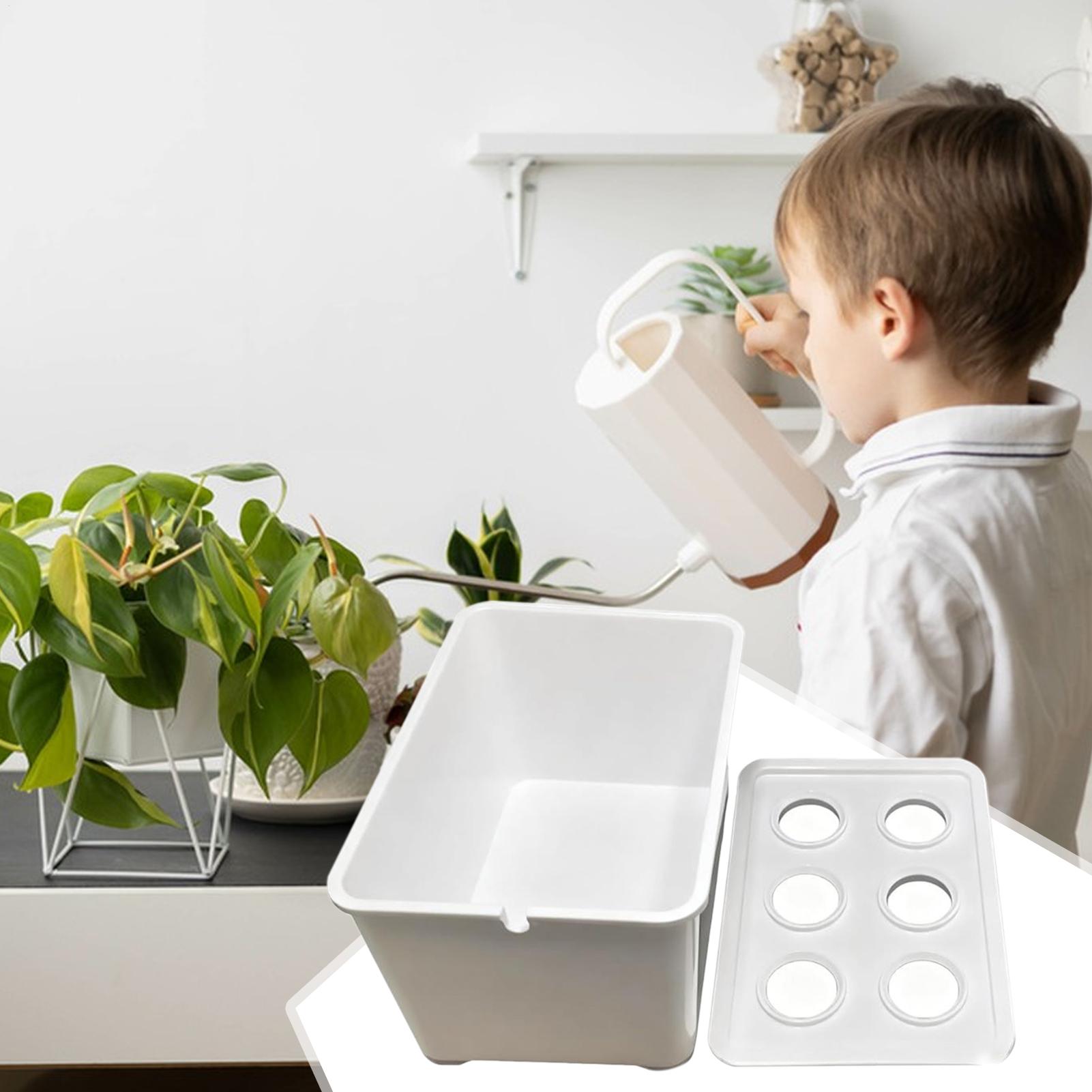 Hydroponic Planting Kit Beginn - огляд і ціна Hydroponic Kit