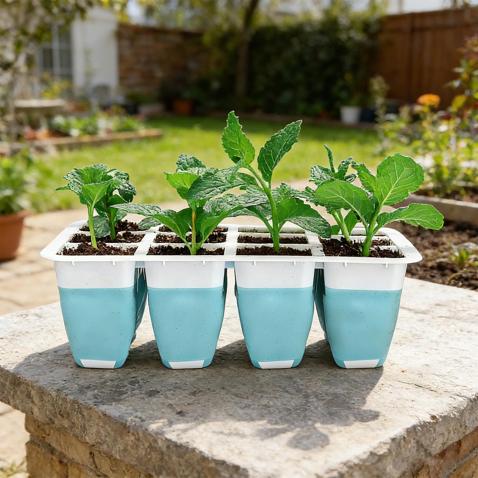 5 Pack Silicone Seed Starter T - огляд і ціна Seed Starter Tray