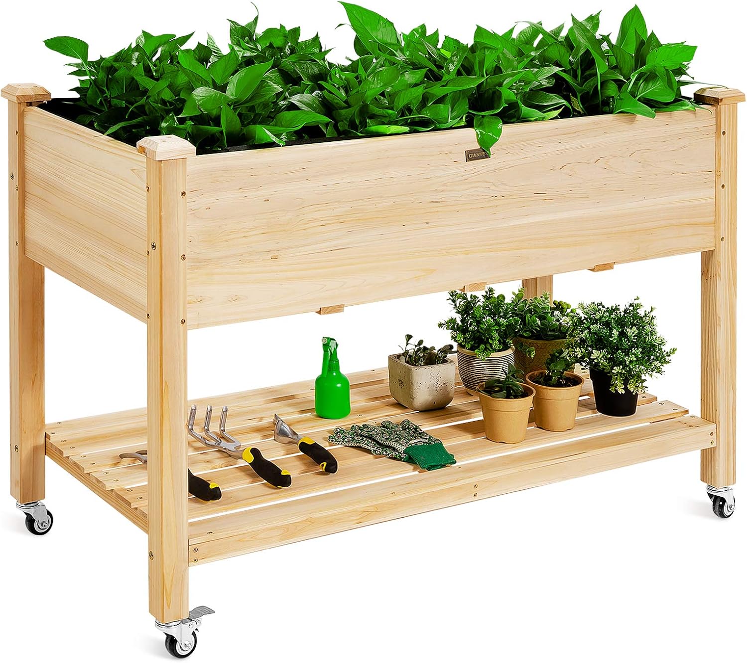 Wooden Raised Garden Bed on Wh - огляд і ціна Raised Garden Bed