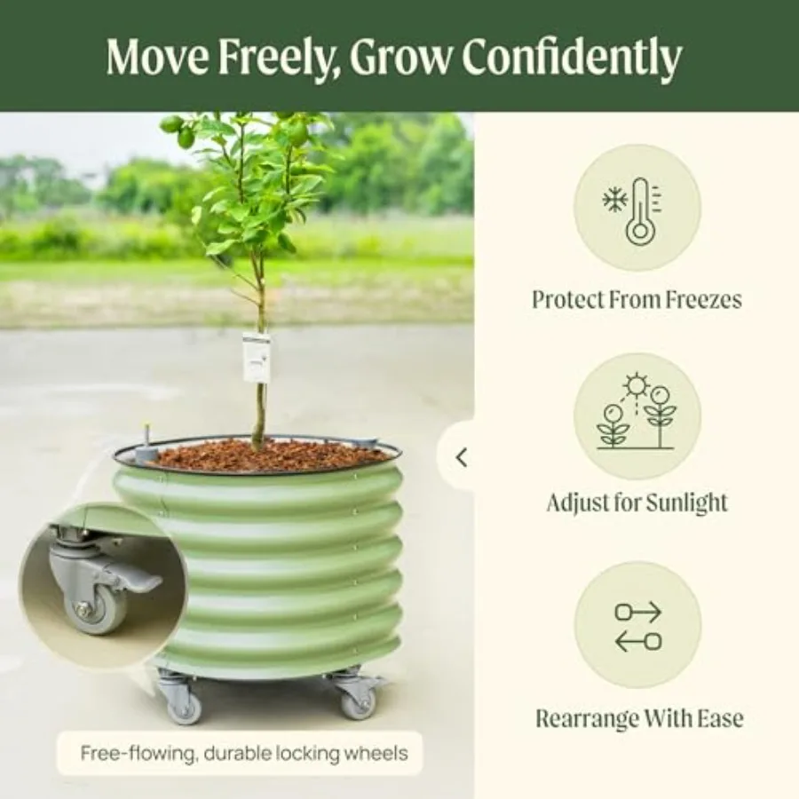 Rolling Citrus Tree Planter Ge - огляд і ціна Self Watering Planter