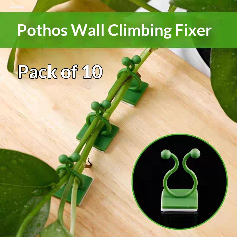 Self‑Adhesive Plant Climbing W - огляд і ціна Indoor Herb Garden