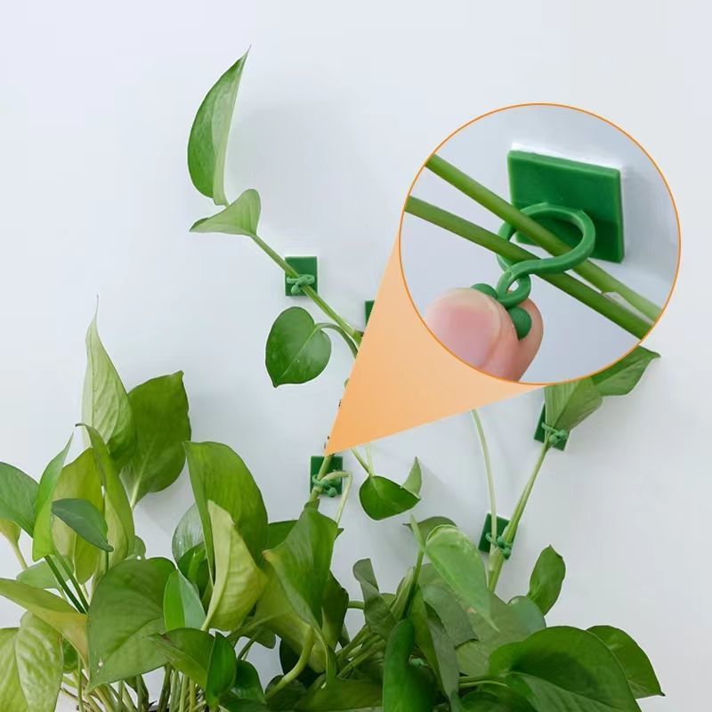 Self‑Adhesive Plant Climbing W - огляд і ціна Indoor Herb Garden
