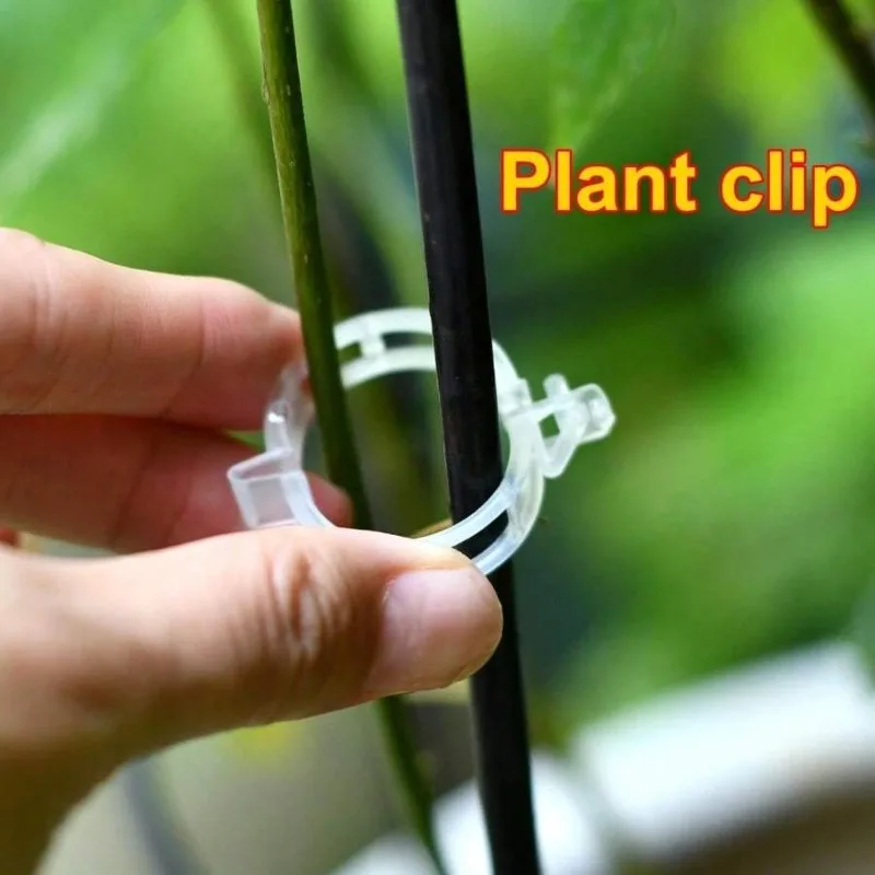 200pcs/bag Plant Clips-Tomato  - огляд і ціна Grow Bag