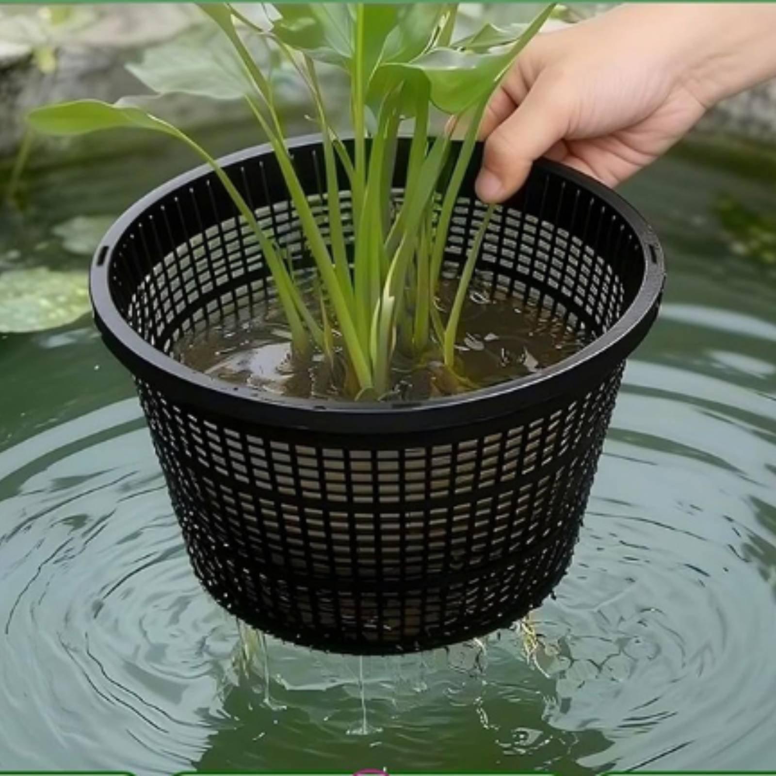 Hydroponic Planter Wide Rim Me - огляд і ціна Plant Pot