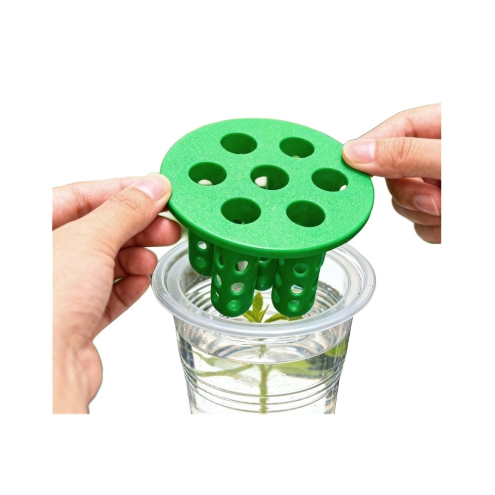 4pcs Green Onion Regrower Spro - огляд і ціна Hydroponic Kit