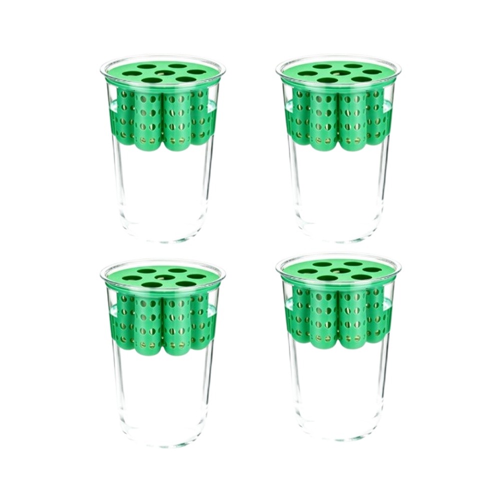 4pcs Green Onion Regrower Spro - огляд і ціна Hydroponic Kit