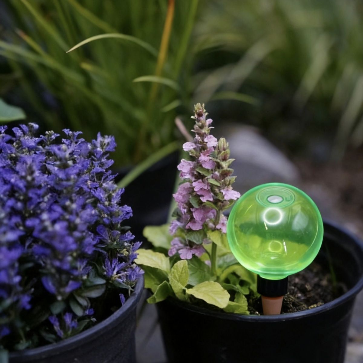 3pcs Large Plant Self Watering - огляд і ціна Self Watering Planter