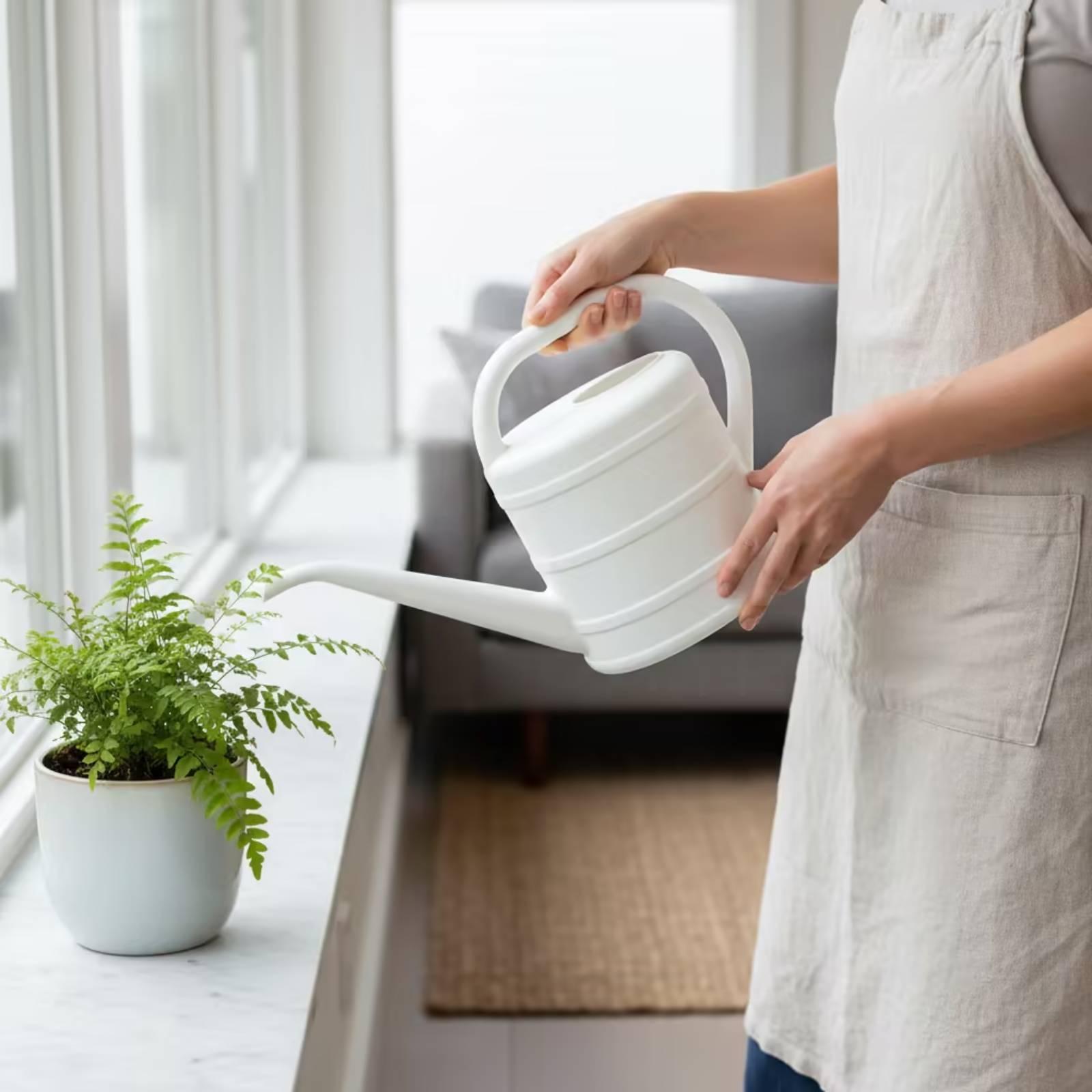Watering Can with Long Spout E - огляд і ціна Watering Can