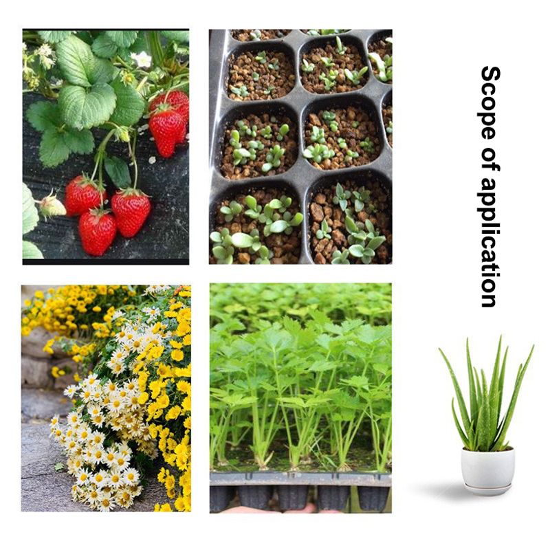 Hot 10Pcs Seedling Trays Plast - огляд і ціна Seed Starter Tray