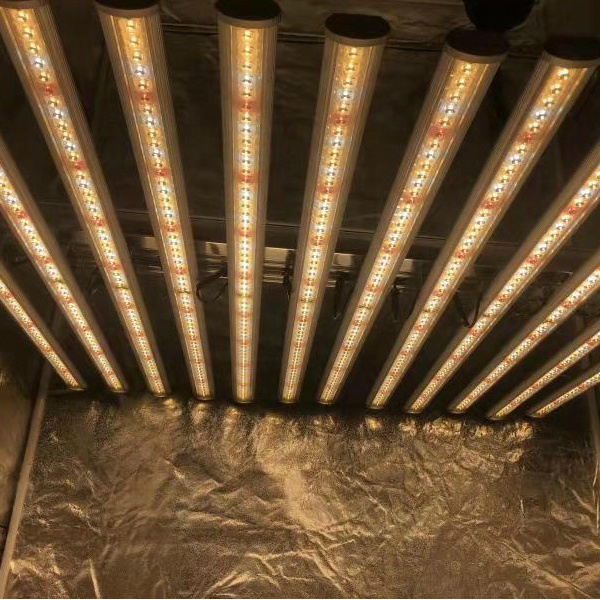 LUX China Factory Led Plant Li - огляд і ціна Grow Light Led