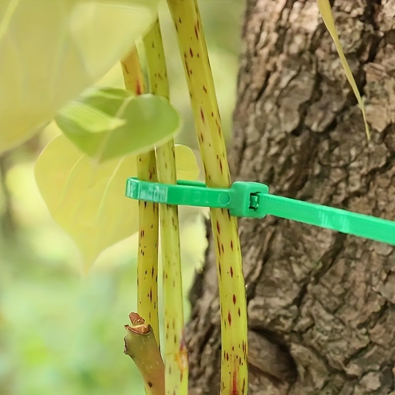 100pcs Garden Cable Tie, Plant - огляд і ціна Plant Pot