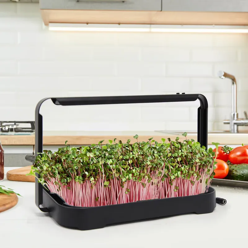 Hydroponic Tray Indoor Microgr - огляд і ціна Hydroponic Kit