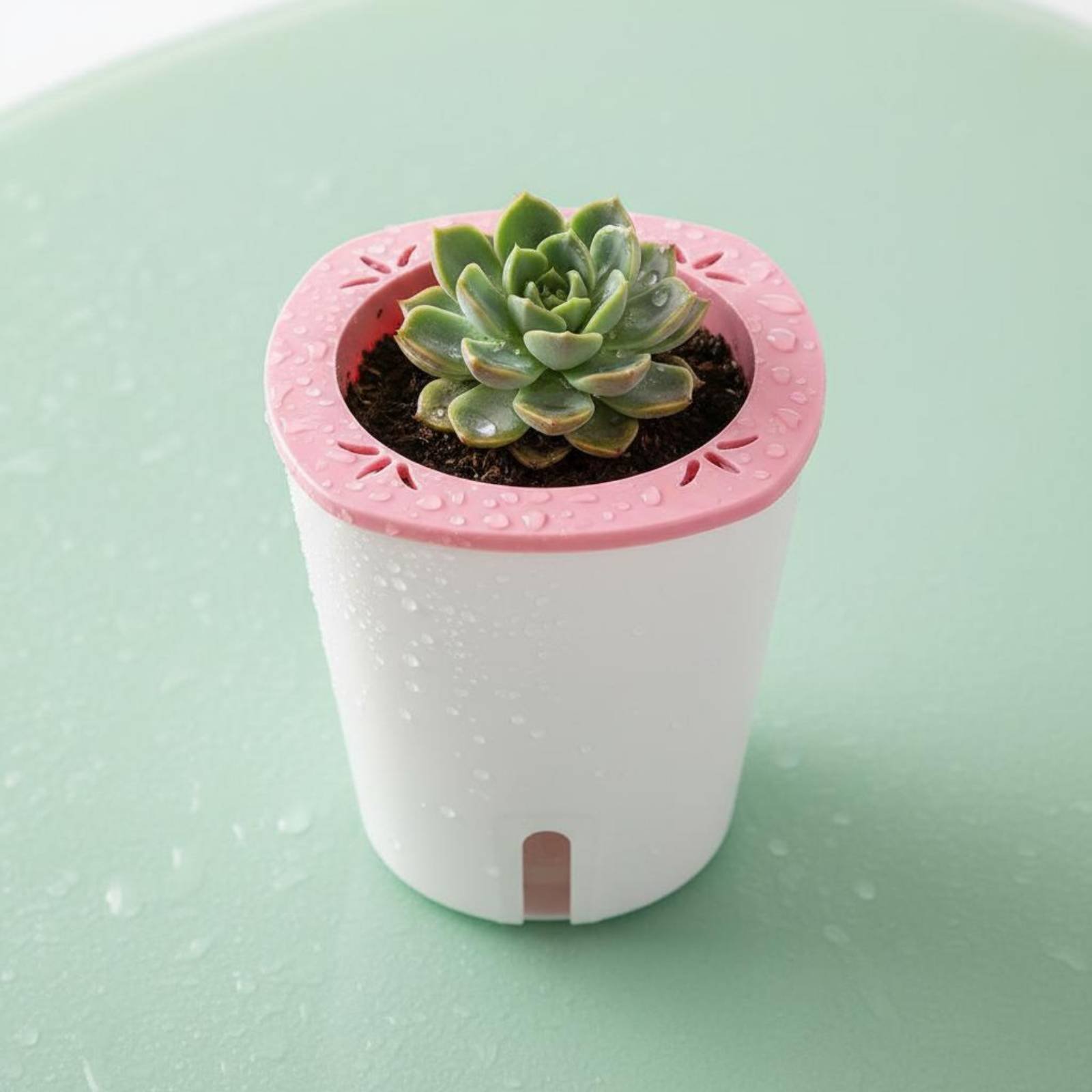 Self Watering Planter Large Si - огляд і ціна Self Watering Planter