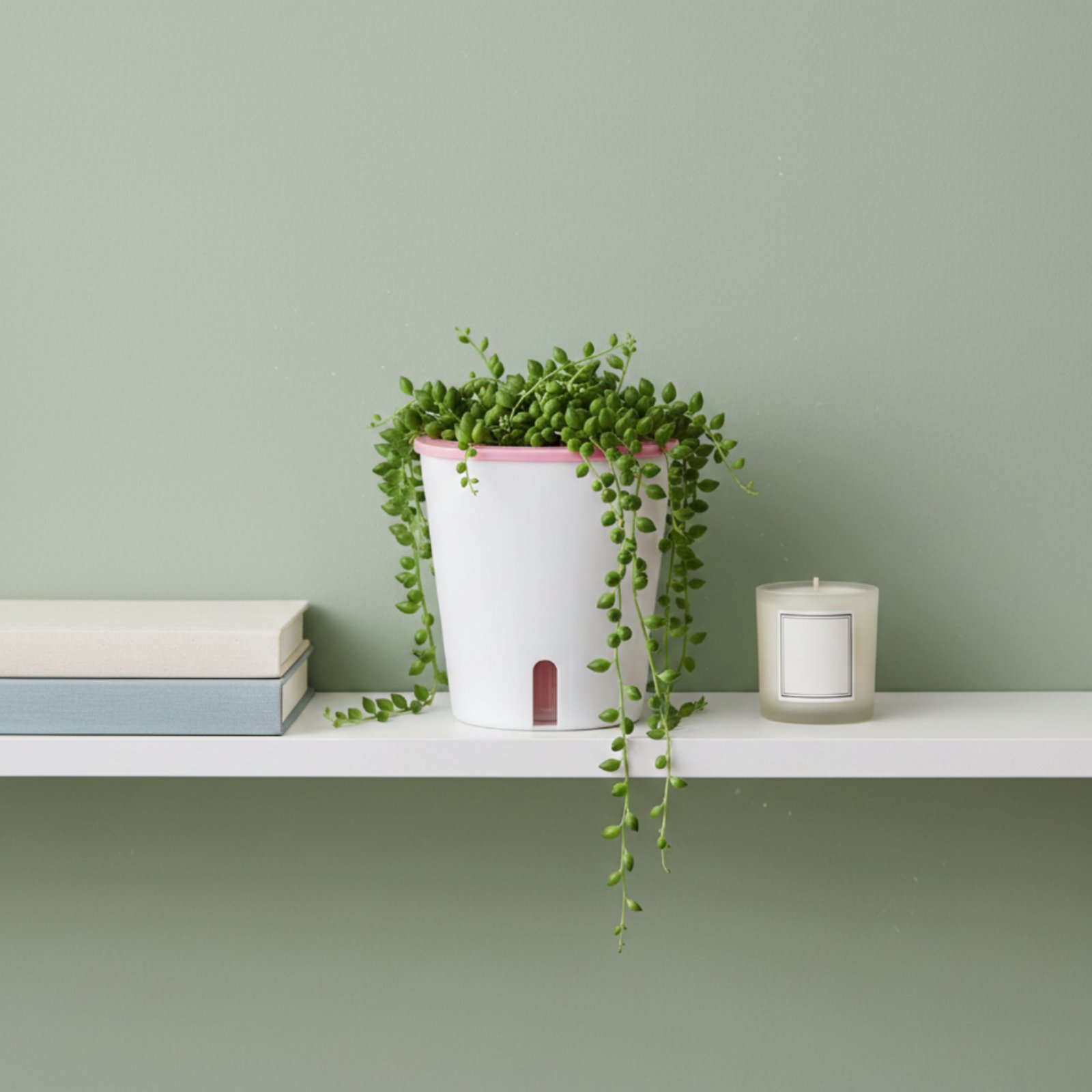Self Watering Planter Large Si - огляд і ціна Self Watering Planter
