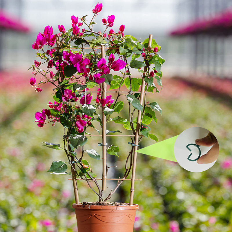 50/100pcs Garden Plant Clips V - огляд і ціна Vertical Planter